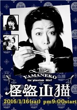 怪盗山猫观看