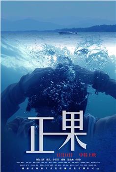 正果观看