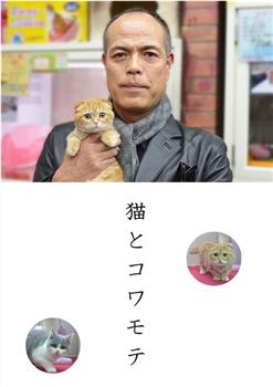 猫和凶相大叔观看