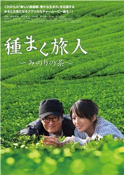 播种的旅人 美野里的茶观看