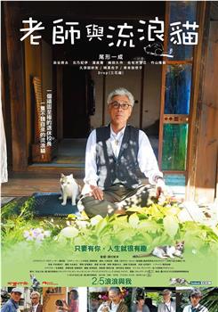 老师与流浪猫观看