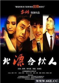 北漂合伙人下载