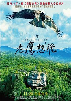 老鹰想飞观看