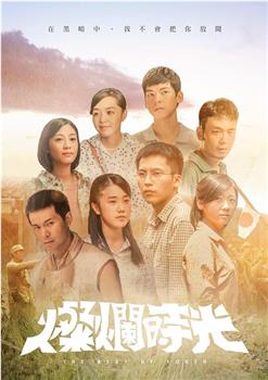 灿烂时光观看