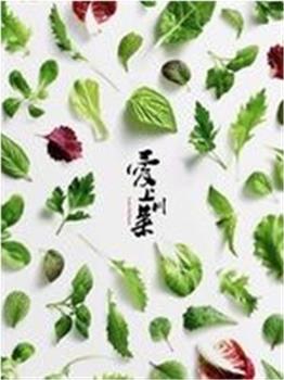 爱上川菜爱上四川观看