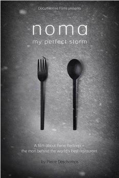 NOMA：美食风暴观看