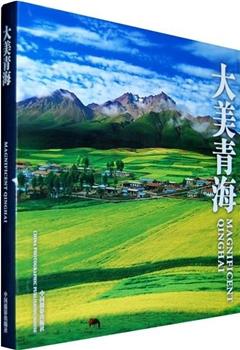 大美青海观看