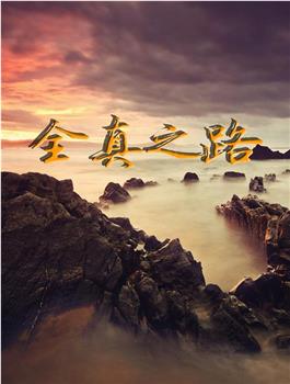 全真之路观看