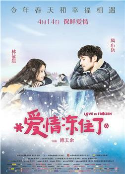 爱情冻住了观看