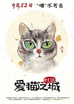 爱猫之城观看