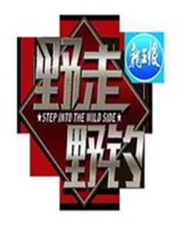 野走野钓观看