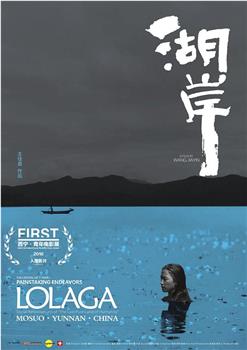 湖岸观看