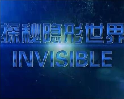 探秘隐形世界观看