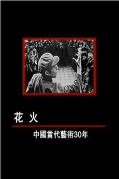 花火——中国当代艺术30年观看