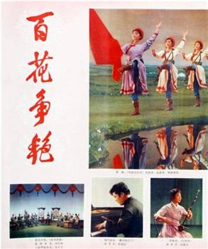 百花争艳观看