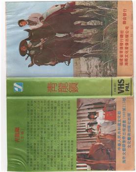 青龍鎮观看