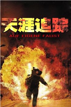 天涯追踪观看