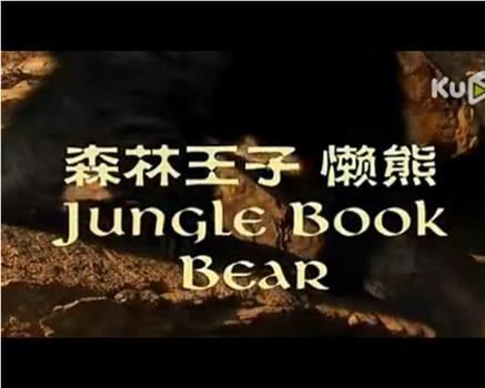 森林王子——懒熊观看