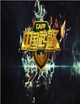 中国武警观看
