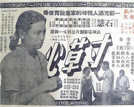 寸草心观看