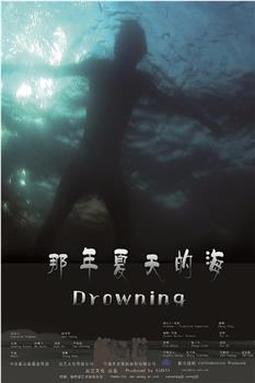 那年夏天的海观看