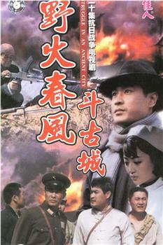 野火春风斗古城观看