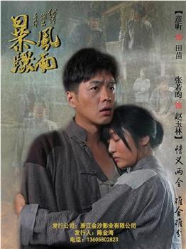 暴风骤雨观看
