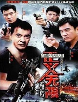 正义无限观看