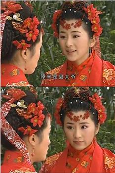 司徒公办案观看