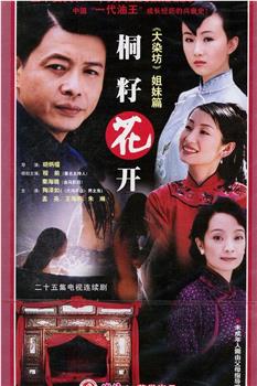 桐籽花开观看