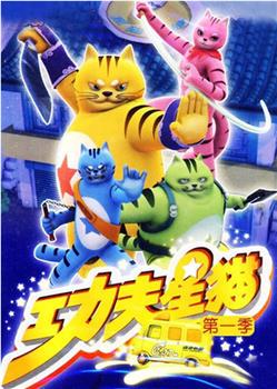 功夫星猫观看