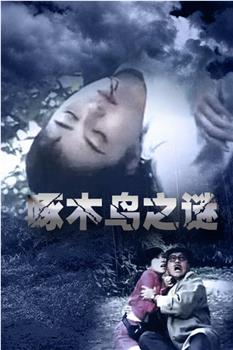 啄木鸟之谜观看