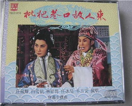 枇杷巷口故人來观看