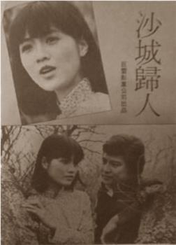 沙城归人观看