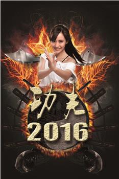 功夫2016观看