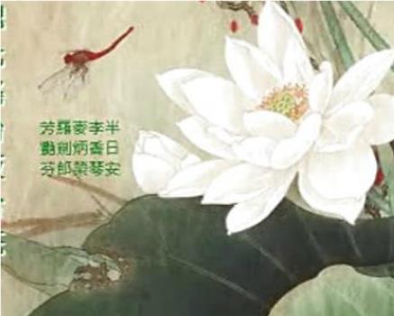 魂化瑶台夜合花观看