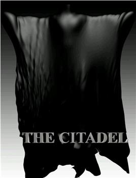 The Citadel观看