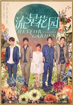 流星花园下载