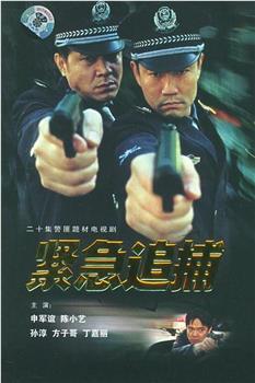 紧急追捕观看