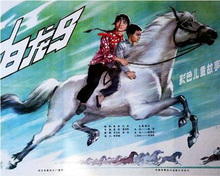 白龙马观看