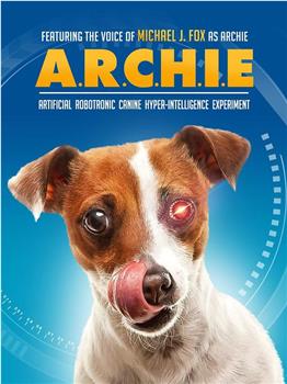 特工犬阿奇观看