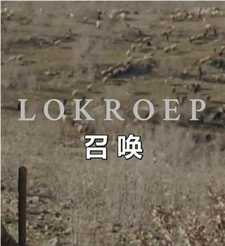 召唤观看