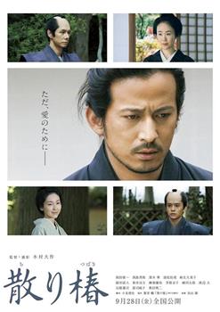 山茶花飘零观看