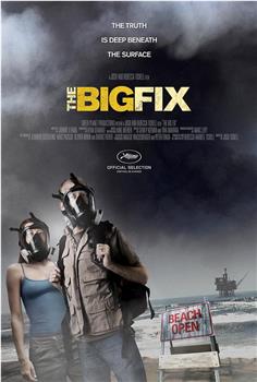 The Big Fix观看