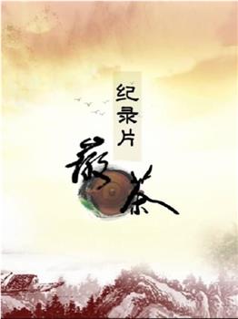 徽茶观看