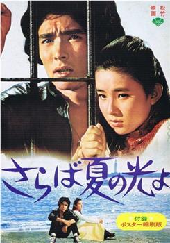 再见，夏日之光观看