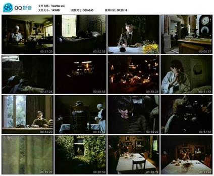 斯莱德尼·瓦什塔观看