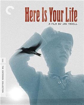 Jan Troell on 'Here Is Your Life'观看