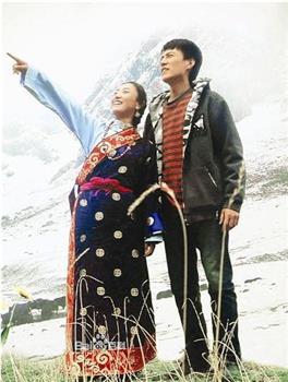 玉树花开观看