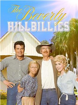 The Beverly Hillbillies观看